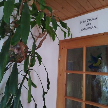 Ferienwohnung Steinbauer Opfenbach 外观 照片