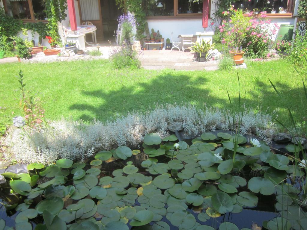 Ferienwohnung Steinbauer Opfenbach 外观 照片